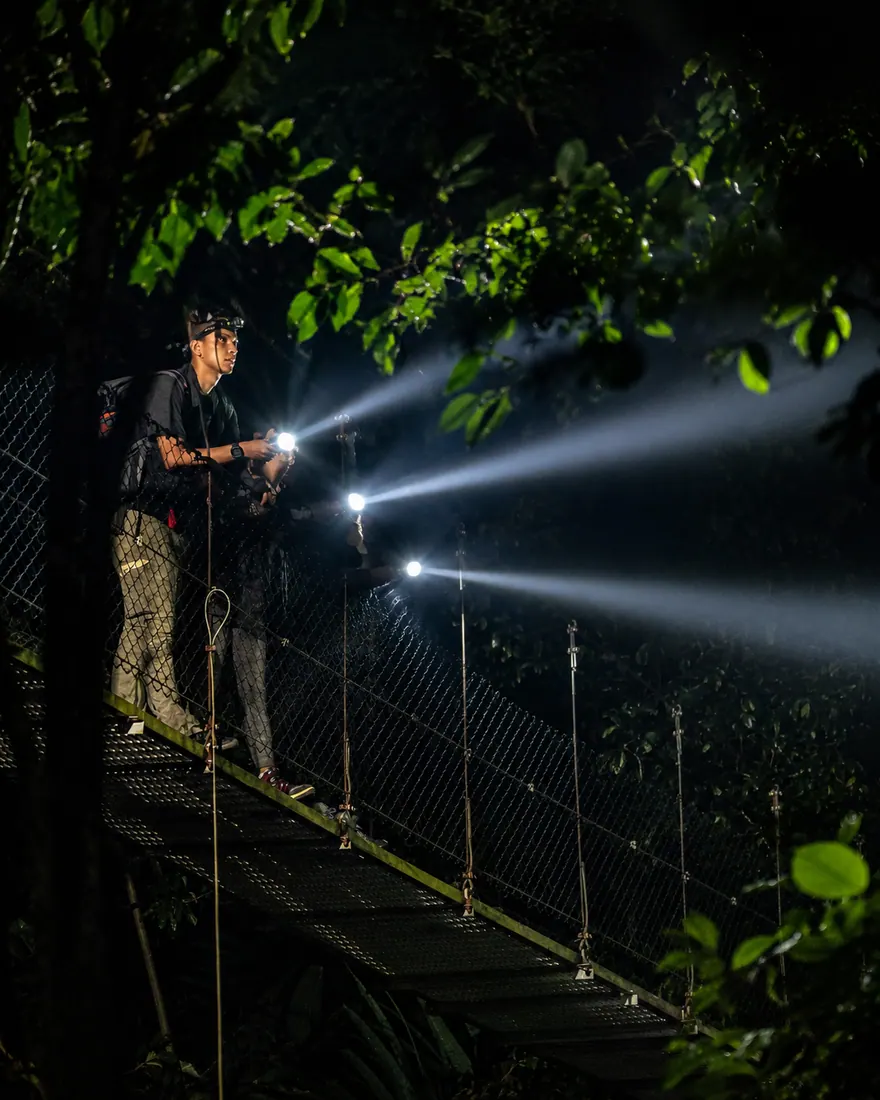 Arenal Night Tour in La Fortuna