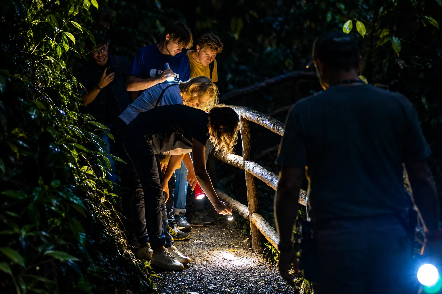 Arenal Night Tour in La Fortuna