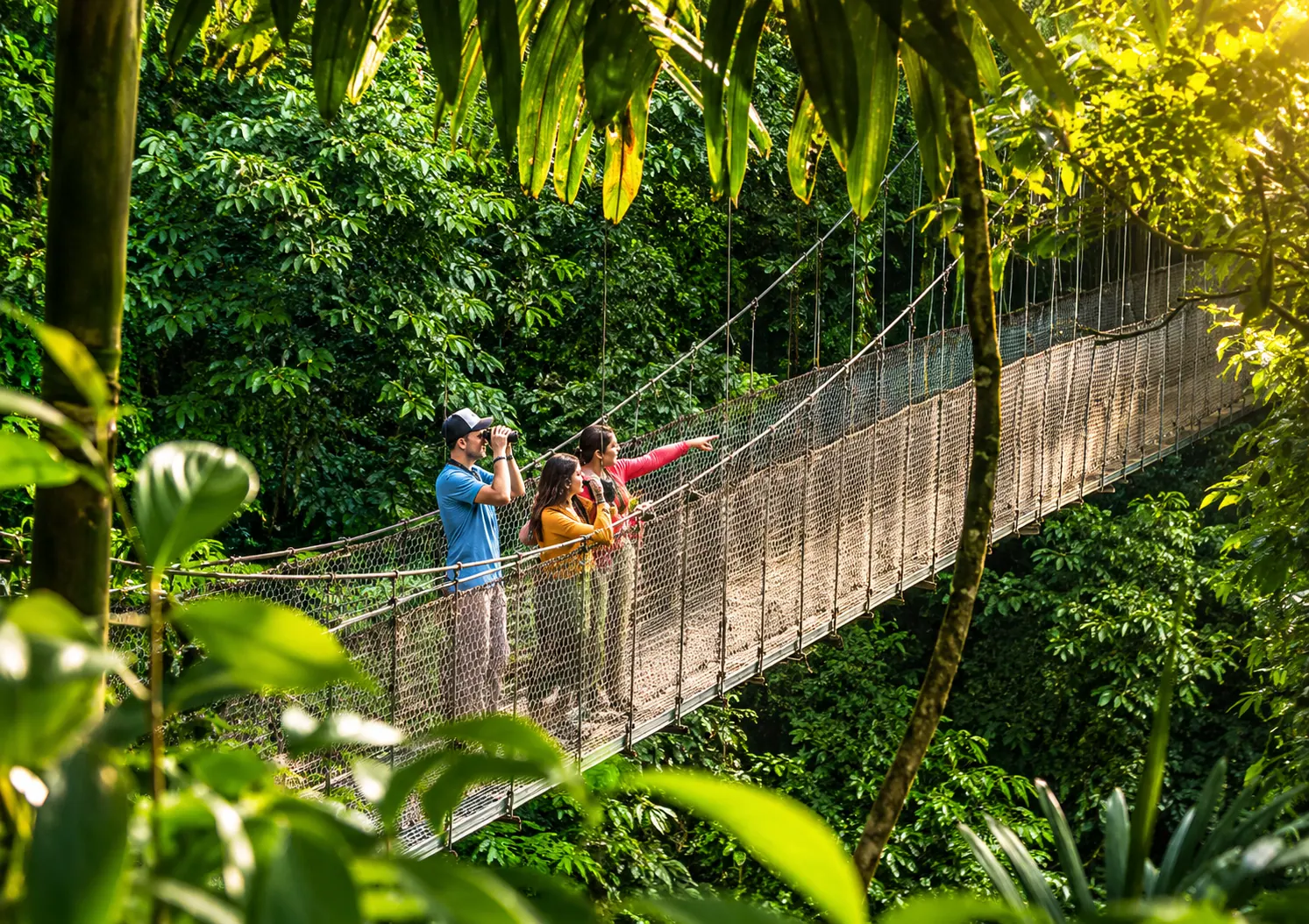 Mistico Hanging Bridges in La Fortuna