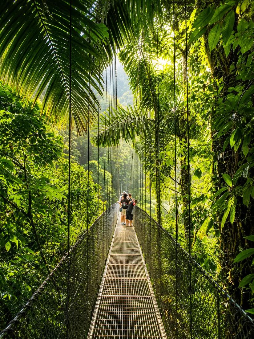 Mistico Hanging Bridges in La Fortuna