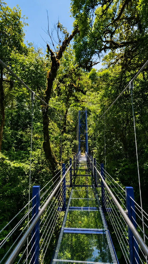 Monteverde Gold Expedition in La Fortuna