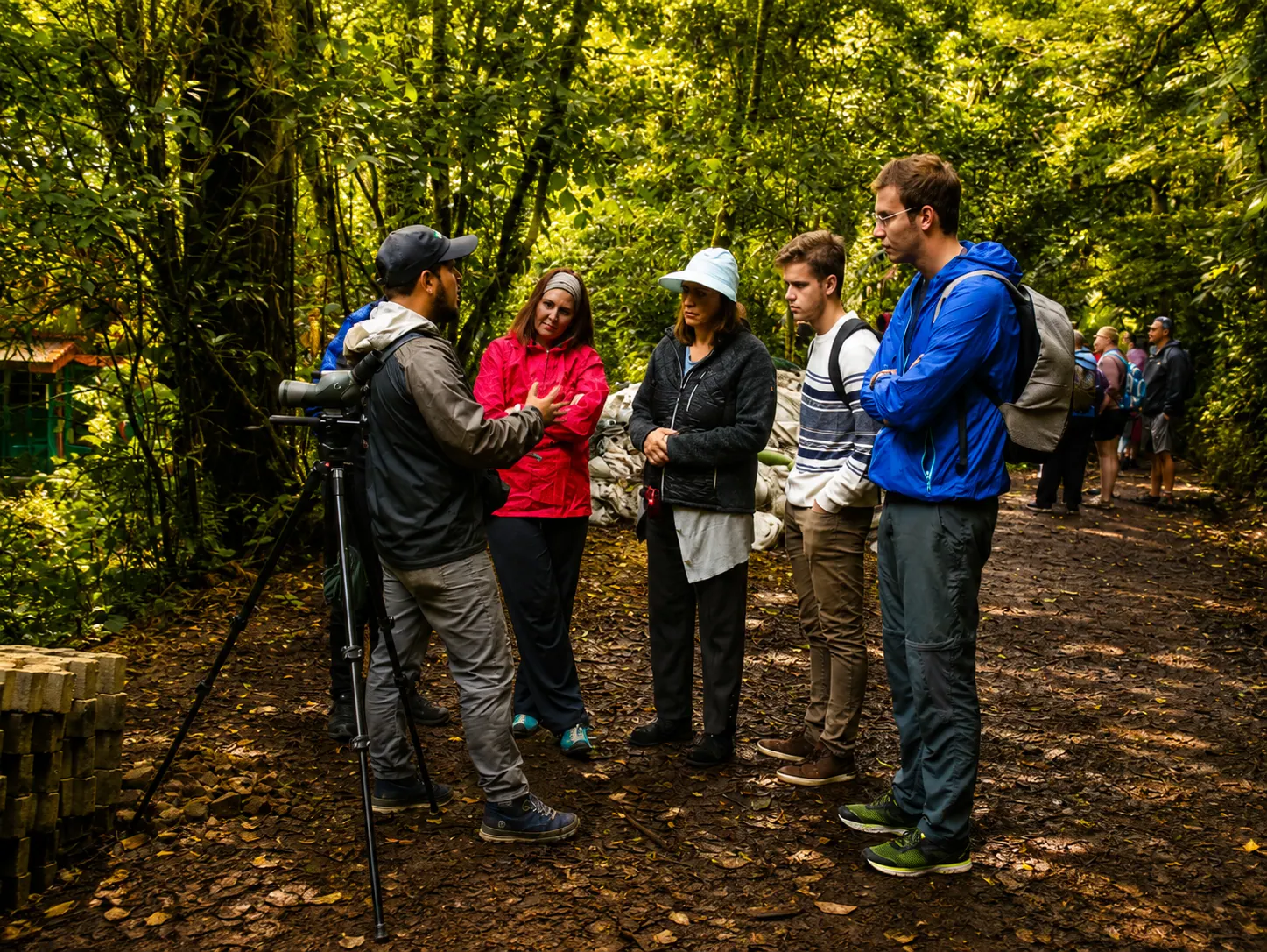 Monteverde Gold Expedition in La Fortuna