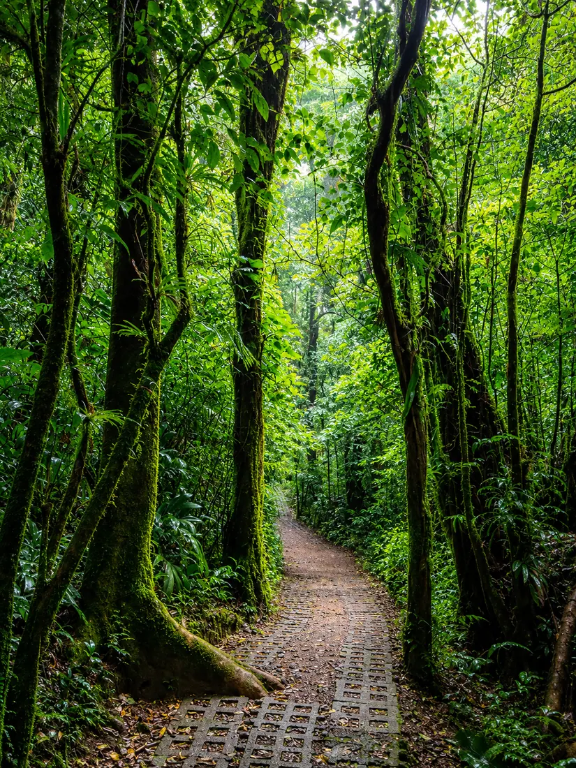 Monteverde Gold Expedition in La Fortuna