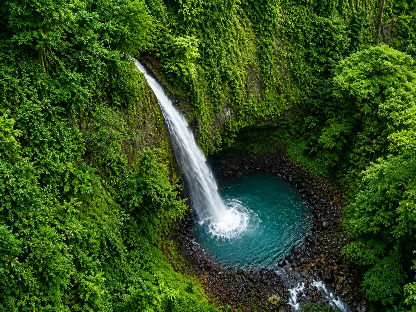 Rainforest Treasures in La Fortuna