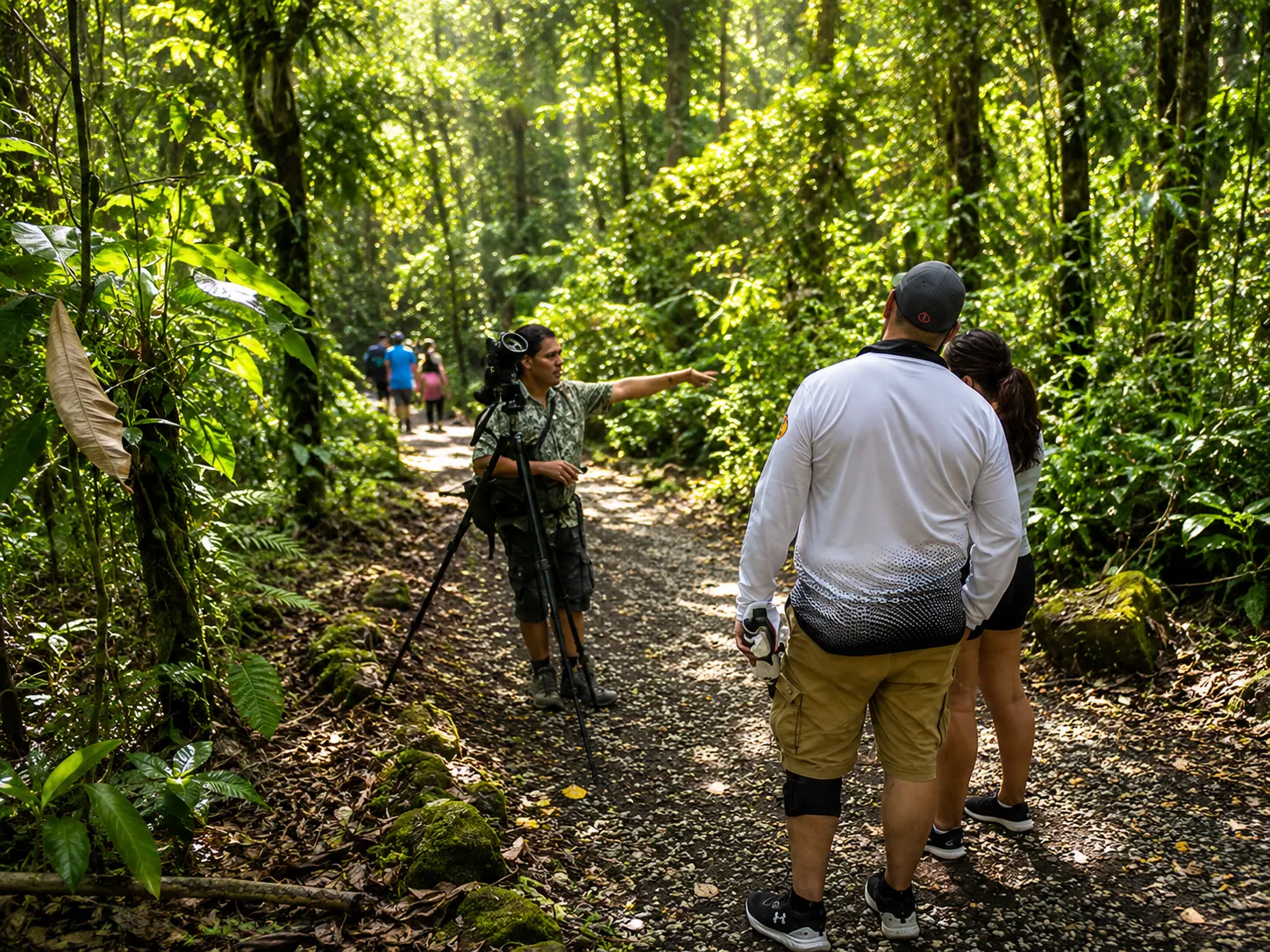Sloth & Wildlife Immersion in La Fortuna